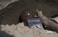 Anomalous Parfum Belly of the Whale Parfum Decant – 2 mL